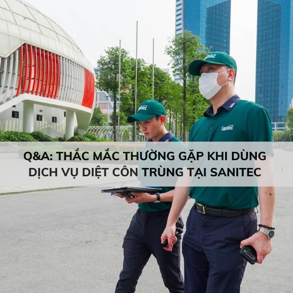 Q&A: Những Thắc Mắc Khi Sử Dụng Dịch Vụ Diệt Côn Trùng Toàn Diện Tại Sanitec